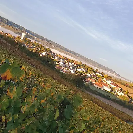 Daire Comme A La Maison Damery (Marne)