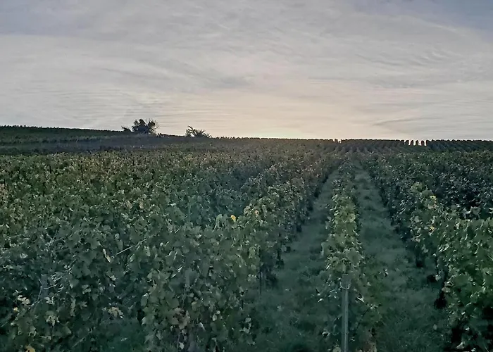 Comme A La Maison 公寓 Damery (Marne)